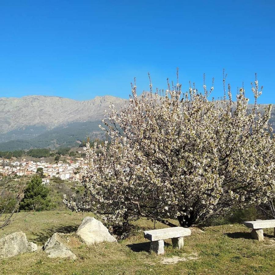 Hotel Rural Los Molinillos エル・アレナル エクステリア 写真